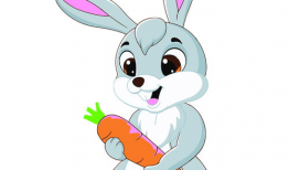 动漫兔兔,动漫世界的奇幻冒险